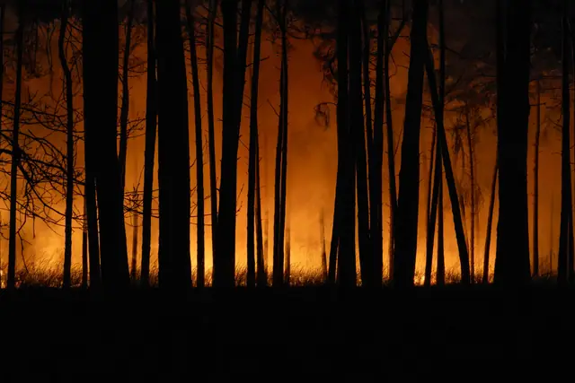 Grote brand in de Loonse en Drunense Duinen