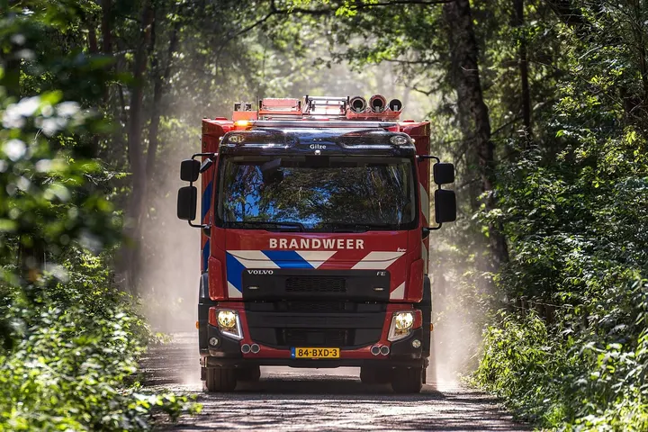 Ter plaatse in het groen